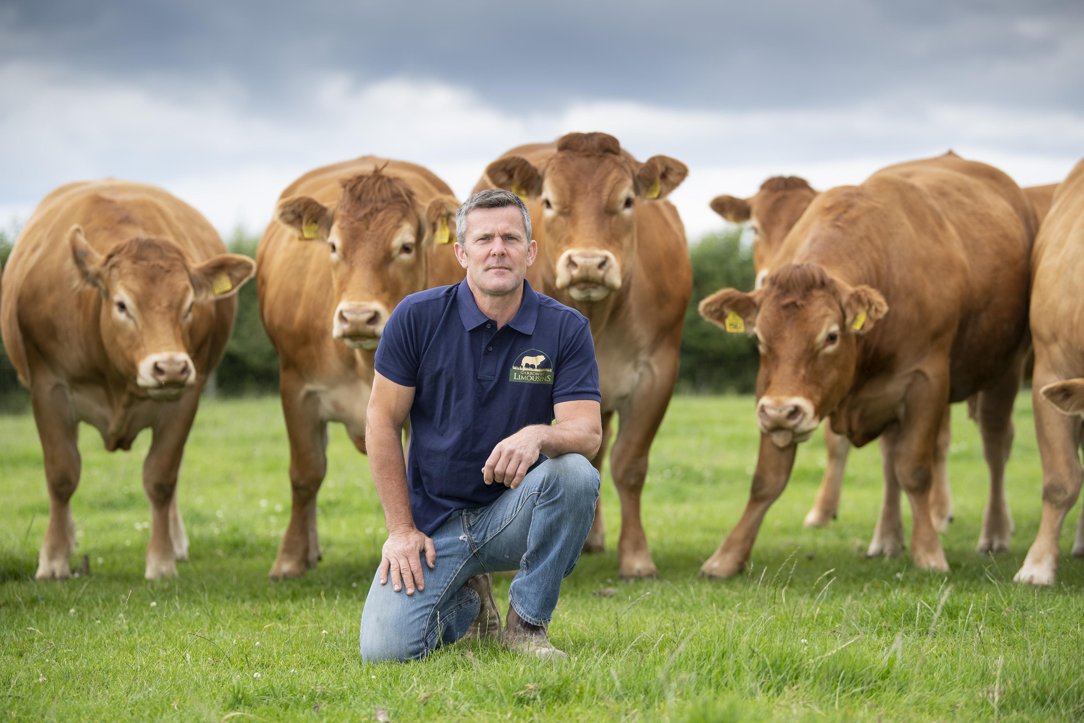 <br />
<b>Notice</b>:  Undefined variable: page in <b>/home/garrowbylimousin/public_html/includes/layout/gallery.php</b> on line <b>36</b><br />
