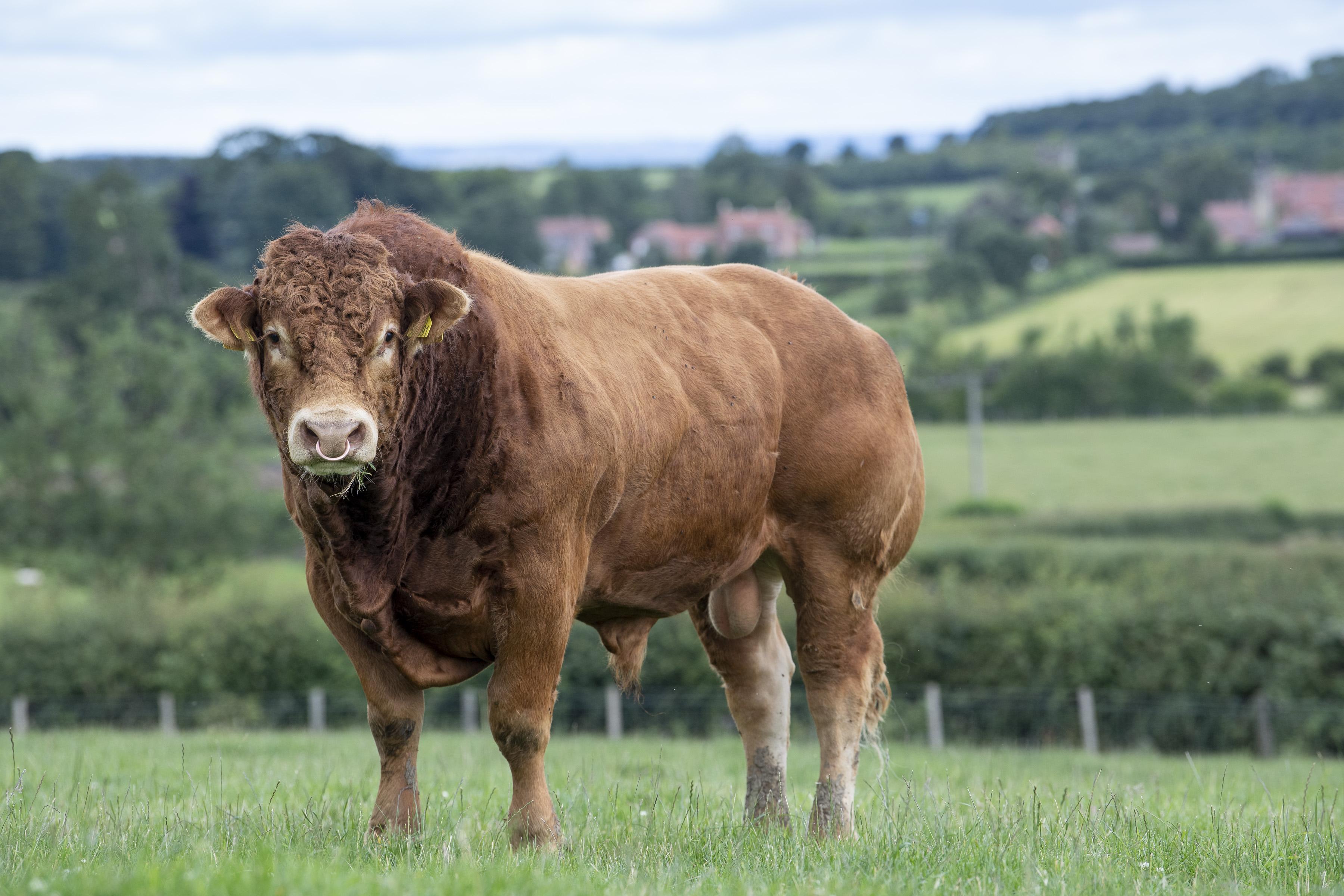 <br />
<b>Notice</b>:  Undefined variable: page in <b>/home/garrowbylimousin/public_html/includes/layout/gallery.php</b> on line <b>36</b><br />
