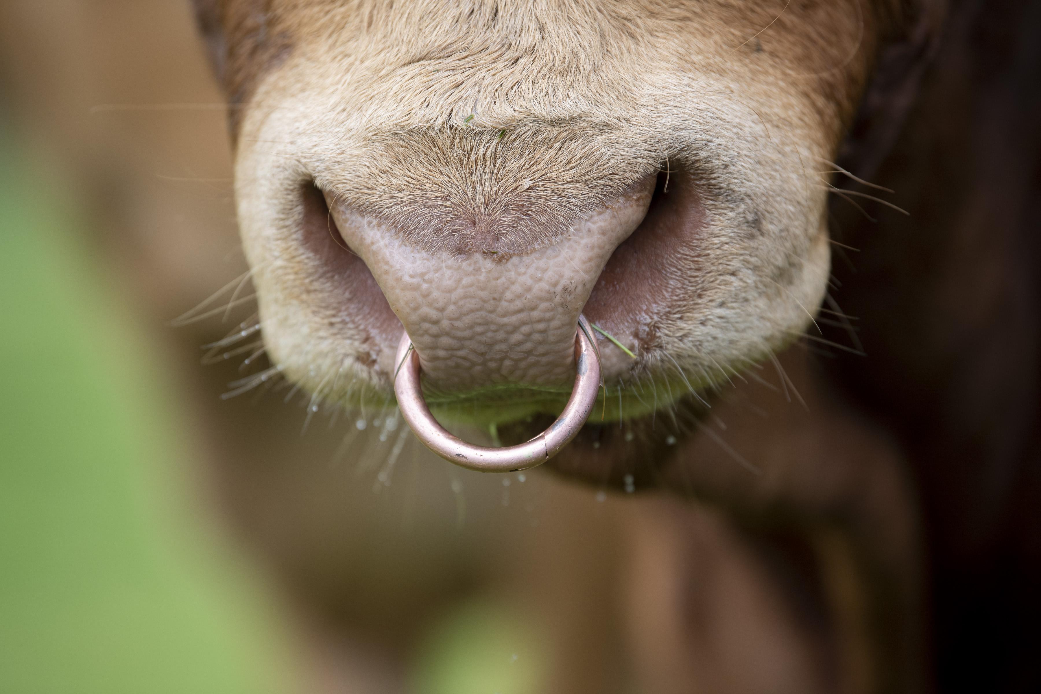 <br />
<b>Notice</b>:  Undefined variable: page in <b>/home/garrowbylimousin/public_html/includes/layout/gallery.php</b> on line <b>36</b><br />
