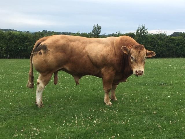 <br />
<b>Notice</b>:  Undefined variable: page in <b>/home/garrowbylimousin/public_html/includes/layout/gallery.php</b> on line <b>36</b><br />
