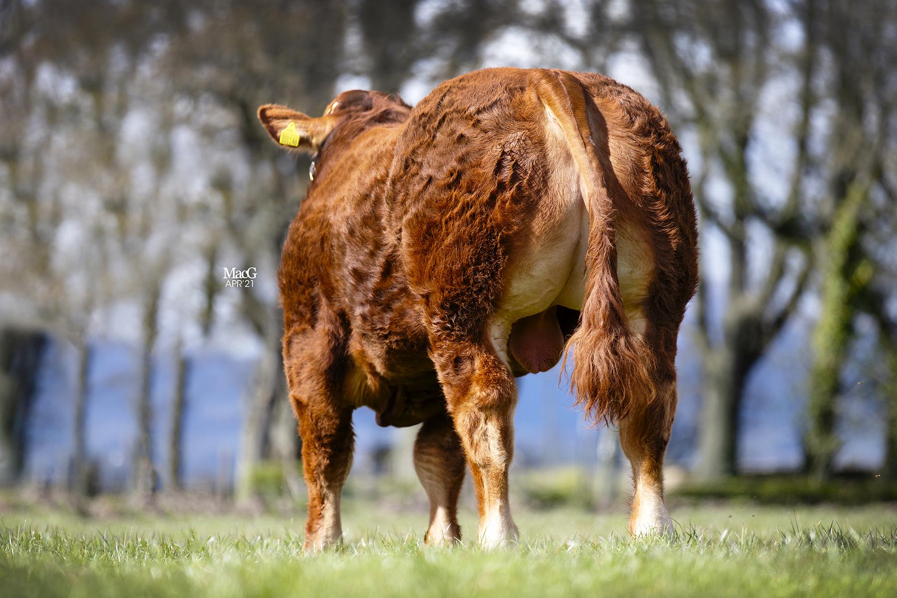 <br />
<b>Notice</b>:  Undefined variable: page in <b>/home/garrowbylimousin/public_html/includes/layout/gallery.php</b> on line <b>36</b><br />
