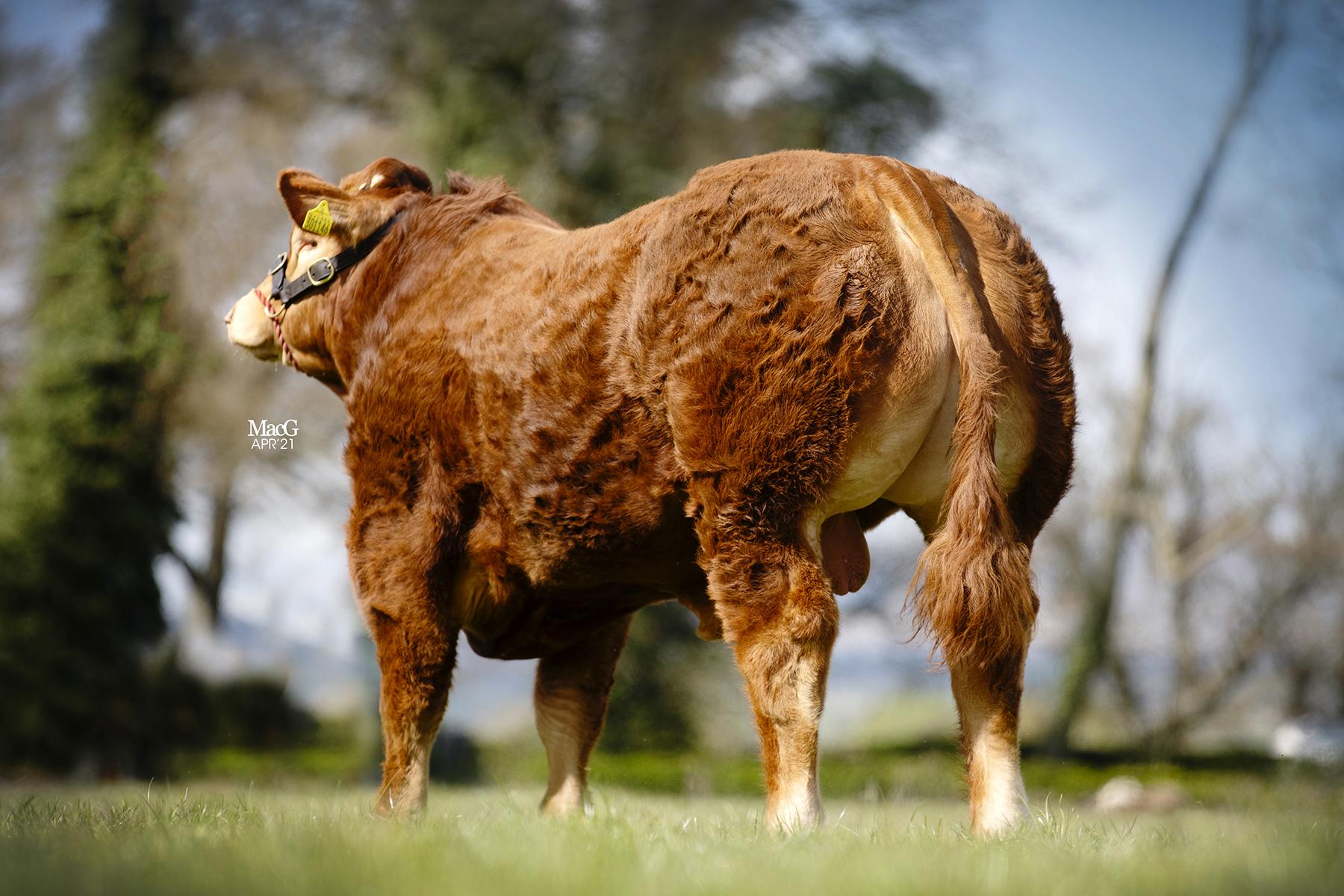 <br />
<b>Notice</b>:  Undefined variable: page in <b>/home/garrowbylimousin/public_html/includes/layout/gallery.php</b> on line <b>36</b><br />
